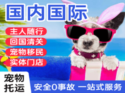 果洛玛沁航空物流国际宠物托运 【国